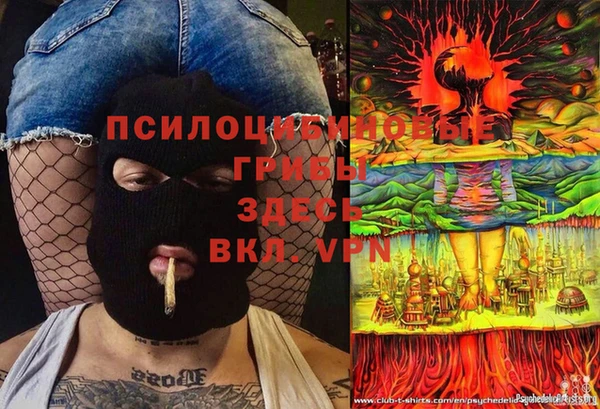 ECSTASY Дмитров