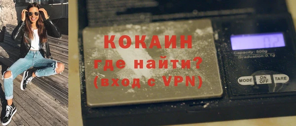 сатива Новодвинск